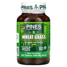 Паростки пшениці Вітграсс Wheat Grass Pines