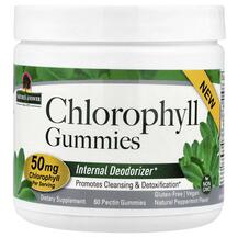 Chlorophyll Gummies Natural Peppermint Хлорофилл Nature's