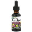 Фото товару Herbal Actives Olive Leaf Alcohol Free, Листя оливи, 30 мл