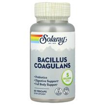 Обзор на Bacillus Coagulans 5 Billion Обзор на Bacillus Coagulans 5 Billion