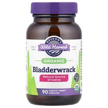 Bladderwrack Фукус пузырчатый Oregon's Wild Harvest