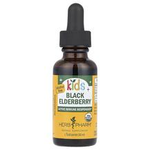 Сироп з Бузини Kids Black Elderberry Alcohol Free