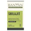 Фото товара Banyan Botanicals, Шилайт, Shilajit, 90 таблеток