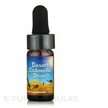 Фото товару Dragon Herbs, Desert Cistanche Mini Drops, Цистанхе, 7.4 мл