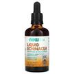 Фото товару NOW, Kids Liquid Echinacea Orange, Ехінацея, 59 мл