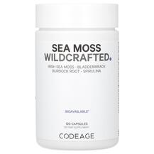 Ірландський морський мох Sea Moss Wildcrafted Ірландський морський мох Sea Moss Wildcrafted