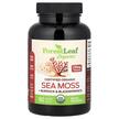Certified Organic Sea Moss + Burdock, Ірландський морський мох...