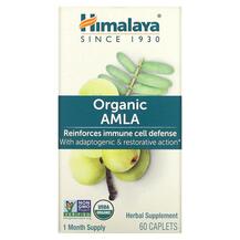 Амла Organic Amla Reinforces Immune Cell Defense