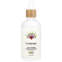 Cordyceps Alcohol-Free Грибы Кордицепс Rainbo 100 мл