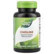 Nature's Way, Choline 500 mg, Холін 500 мг, 100 таблеток