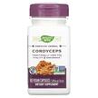 Nature's Way, Cordyceps, Кордицепс 1000 мг, 60 капсул