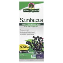 Sambucus Black Elderberry 12000 mg Сироп из Бузины 240 мл