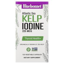 Atlantic Sea Kelp Iodine Ламинария Bluebonnet Nutrition