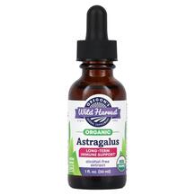 Organic Astragalus Астрагал Oregons Wild Harvest