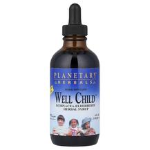 Well Child Echinacea-Elderberry Herbal Syrup Травяные