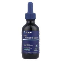 Concentrated Ionic Chlorophyll Natural Mint 6000 mg Trace