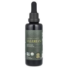 Raw Herbal Extract Valerian Валериана Global Healing