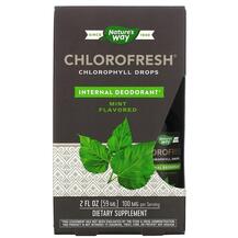 Хлорофіл Chlorofresh Chlorophyll Drops Mint Flavored