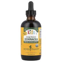 Kids Echinacea Alcohol Free Orange Эхинацея Herb