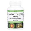 Lactase Enzyme 9000 FCC ALU, Фермент Лактаза, 60 капсул