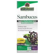 Чорна Бузина Sambucus Black Elder Berry Extract 5000 mg