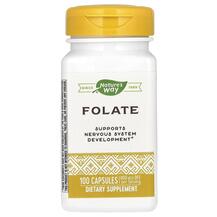 Фолієва кислота 800 мкг Folic Acid 800 mcg Nature's Фолієва кислота 800 мкг Folic Acid 800 mcg Nature's