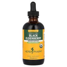 Чорна Бузина Black Elderberry Alcohol-Free Herb Pharm