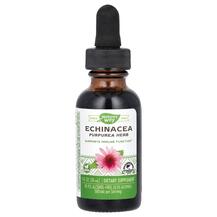 Echinacea Эхинацея 999% без спирта Nature's Way