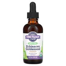Organic Echinacea Goldenseal Orange Эхинацея Oregons