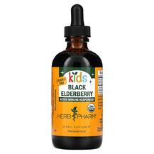 Kids Black Elderberry Черная Бузина Herb Pharm