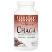 Full Spectrum Chaga 1000 mg, Гриби Чага, 120 таблеток