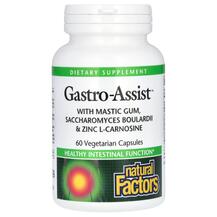 Gastro-Assist Мастиковая смола Natural Factors 60 капсул