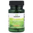Лактобактерии, L. Plantarum Probiotic 10 Billion CFU, 30 капсул