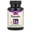 Dragon Herbs, Байкалин 500 мг, Baicalin 500 mg, 100 капсул