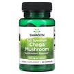 Фото використання Full Spectrum Chaga Mushroom 400 mg, Гриби Чага, 60 капсул