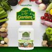 Фото використання Source of Life Garden Certified Organic B-Complex, B-комплекс, 60