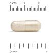 Фото використання Ginger Acmella Phospholipid Matrix 350 mg, Корінь Імбиру, 60 капс