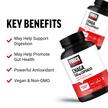 Фото применение Force Factor, Грибы Чага, Chaga 500 mg, 120 капсул