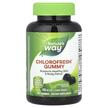 Фото применение Хлорофилл, Chlorophyll Gummies Orchard Fruit 50 mg, 60 таблеток