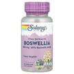 Фото використання Solaray, Boswellia 450 mg, Босвелія 450 мг, 60 капсул