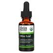 Фото використання Gaia Herbs, Olive Leaf, Оливкове листя, 30 мл