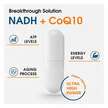 Фото використання Corllia, NADH with CoQ10 D-Ribose GSE, НАДН, 60 капсул