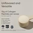 Фото применение Морской коллаген, Marine Collagen Unflavored, 340 г