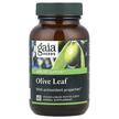 Фото применение Gaia Herbs, Экстракт оливковых листьев, Olive Leaf, 60 капсул