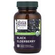 Фото використання Gaia Herbs, Black Elderberry, Бузина, 60 капсул