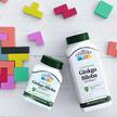 Фото використання 21st Century, Ginkgo Biloba Extract, Гінкго Білоба, 200 капсул
