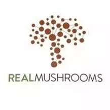 Про бренд Real Mushrooms, де купити в Україні?