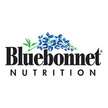 Bluebonnet