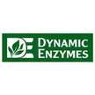 Dynamic Enzymes