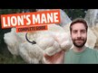 Відео огляд на Lion's Mane 2000 mg, Гриби Левова грива, 90 капсул